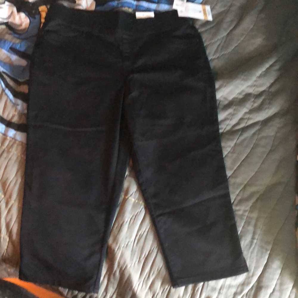 INTRO love the fit Capri